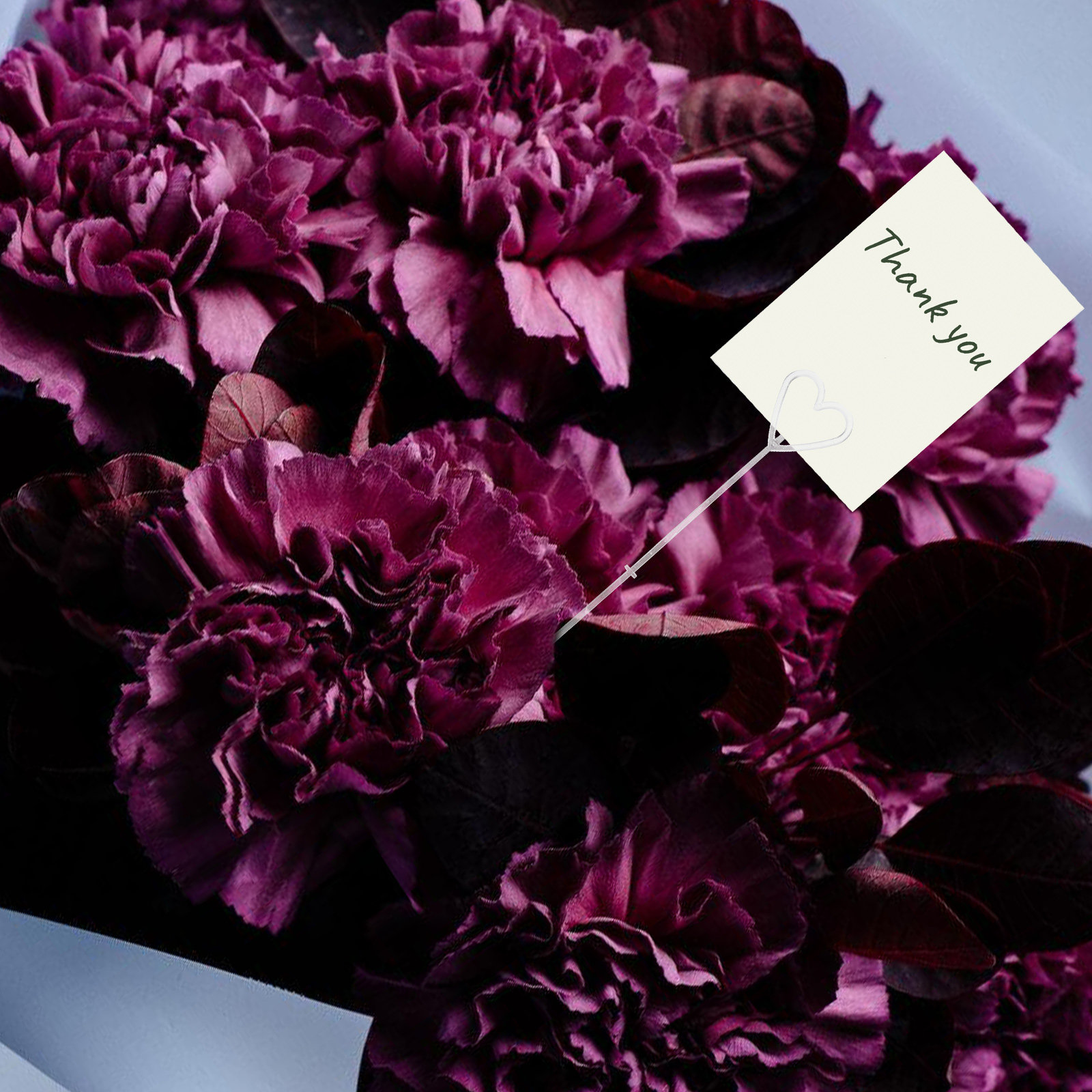 80 piezas de soportes para tar - Wedding Supply Decor reseña y precio