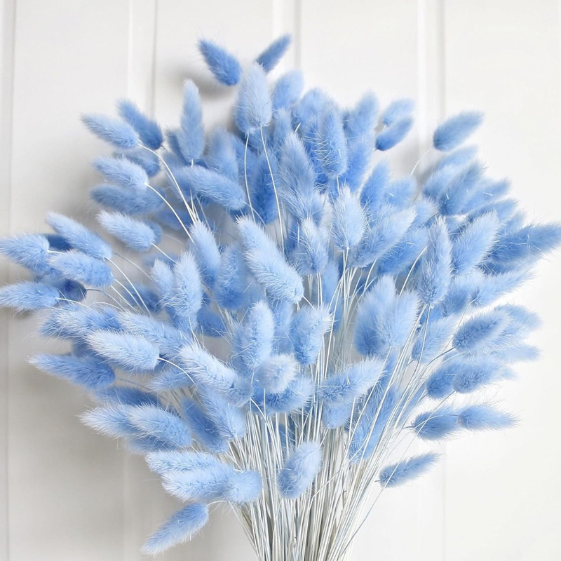 100 Uds. Cola de liebre azul h - Flower Girl Basket reseña y precio